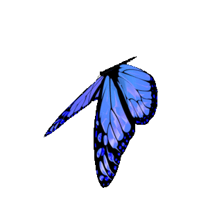 shape-img